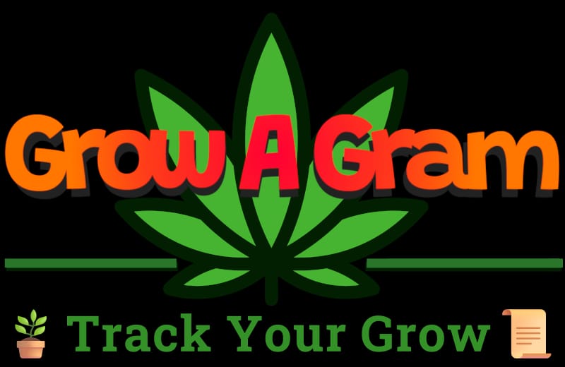 Header Image from Grow "5kittles"